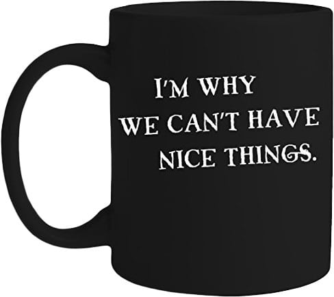 Why We Can't Have Nice Things - Mug