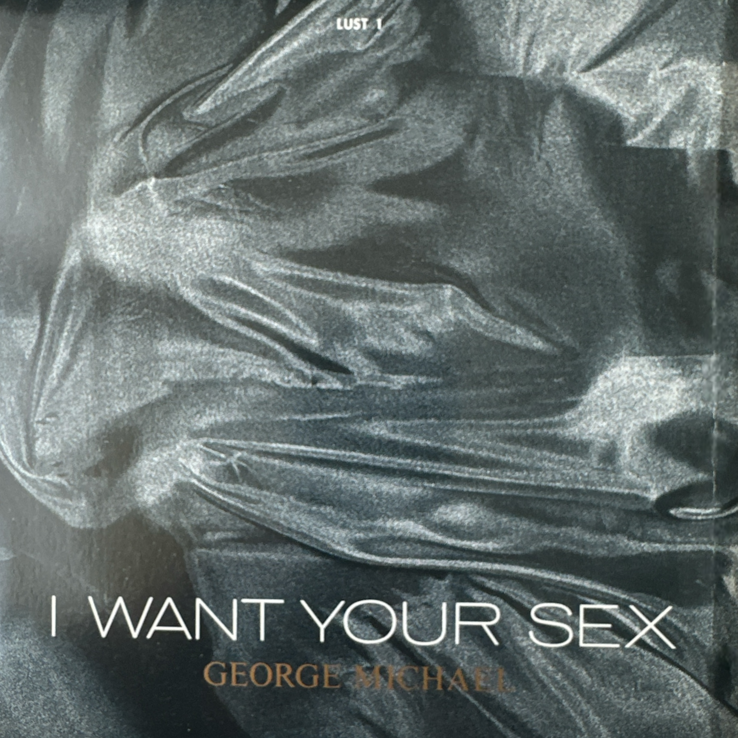 George Michael I Want Your Sex (Rhythm 1 Lust) / I Want You Sex (Rhythm 2 Brass in Love) Picture Sleeve