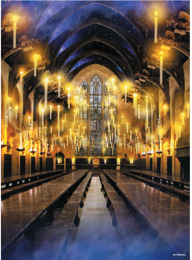 Harry Potter Great Hall 1000-Piece Puzzle Hogwarts Scene NEW Factory Sealed