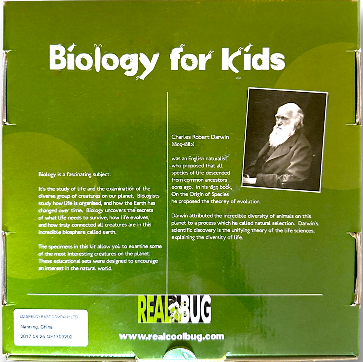 Biology for Kids Small 4-Piece Specimen Col. Bat, Toad, Tarantula & Turtle-Ethically Sourced