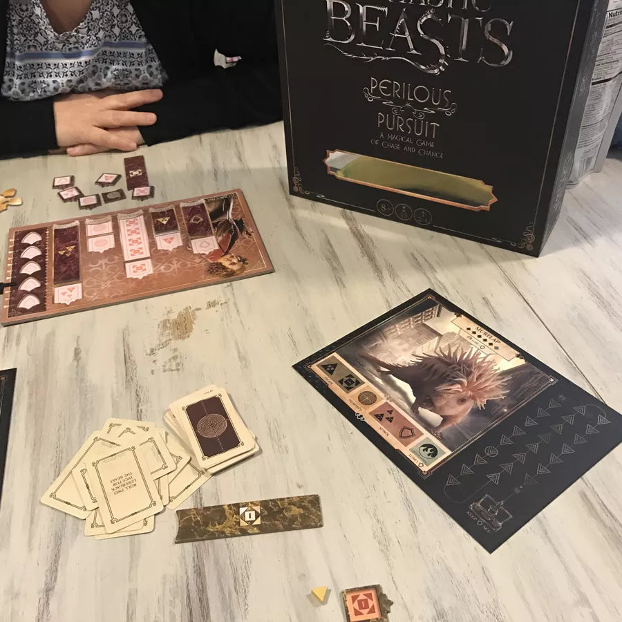 Fantastic Beasts Perilous Pursuit Dice Game