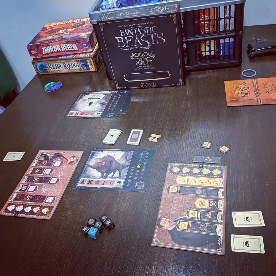 Fantastic Beasts Perilous Pursuit Dice Game