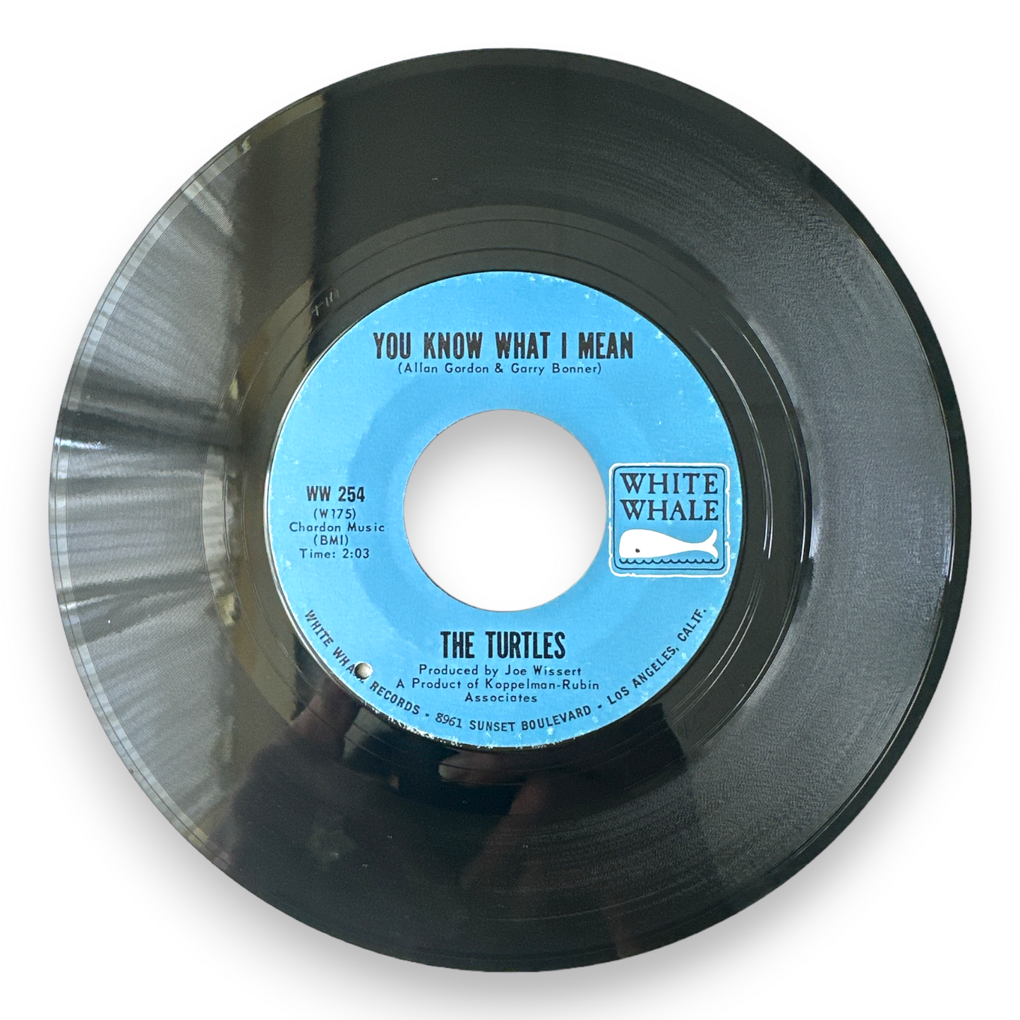 Turtles - You Know What I Mean / Rug Of Wood & Flowers 7" Single In Original Picture Sleeve (NEW)