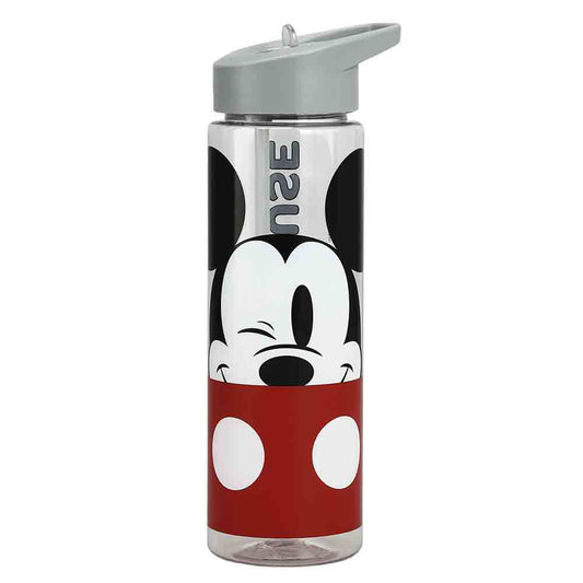Disney Mickey Mouse 24 oz. Single-Wall Water Bottle – Sport Lid with Straw