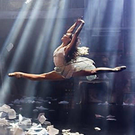 High Strung Free Dance (DVD) Dance, Drama, and Romance in Perfect Harmony