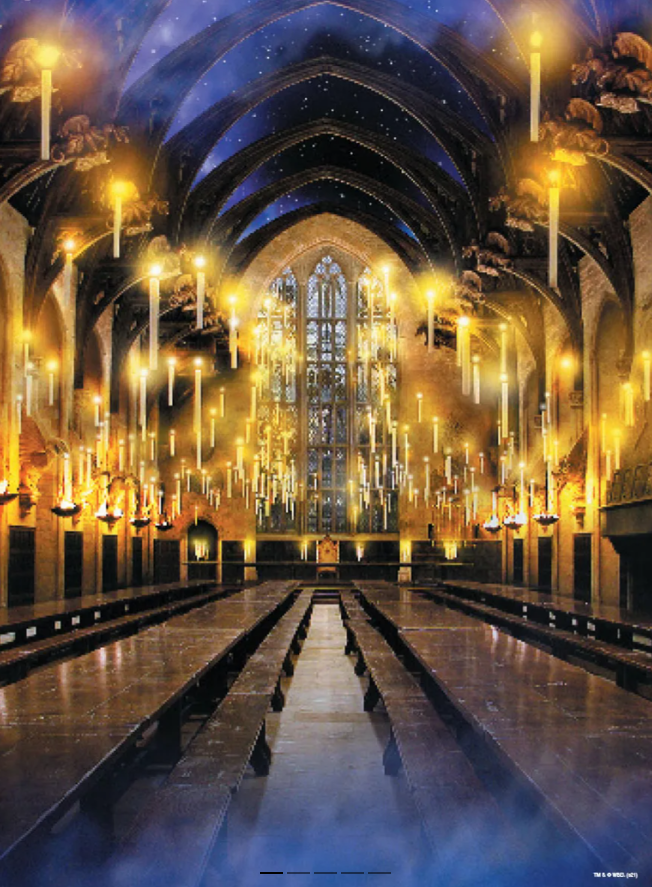 Harry Potter Great Hall 1000-Piece Puzzle Hogwarts Scene NEW Factory Sealed