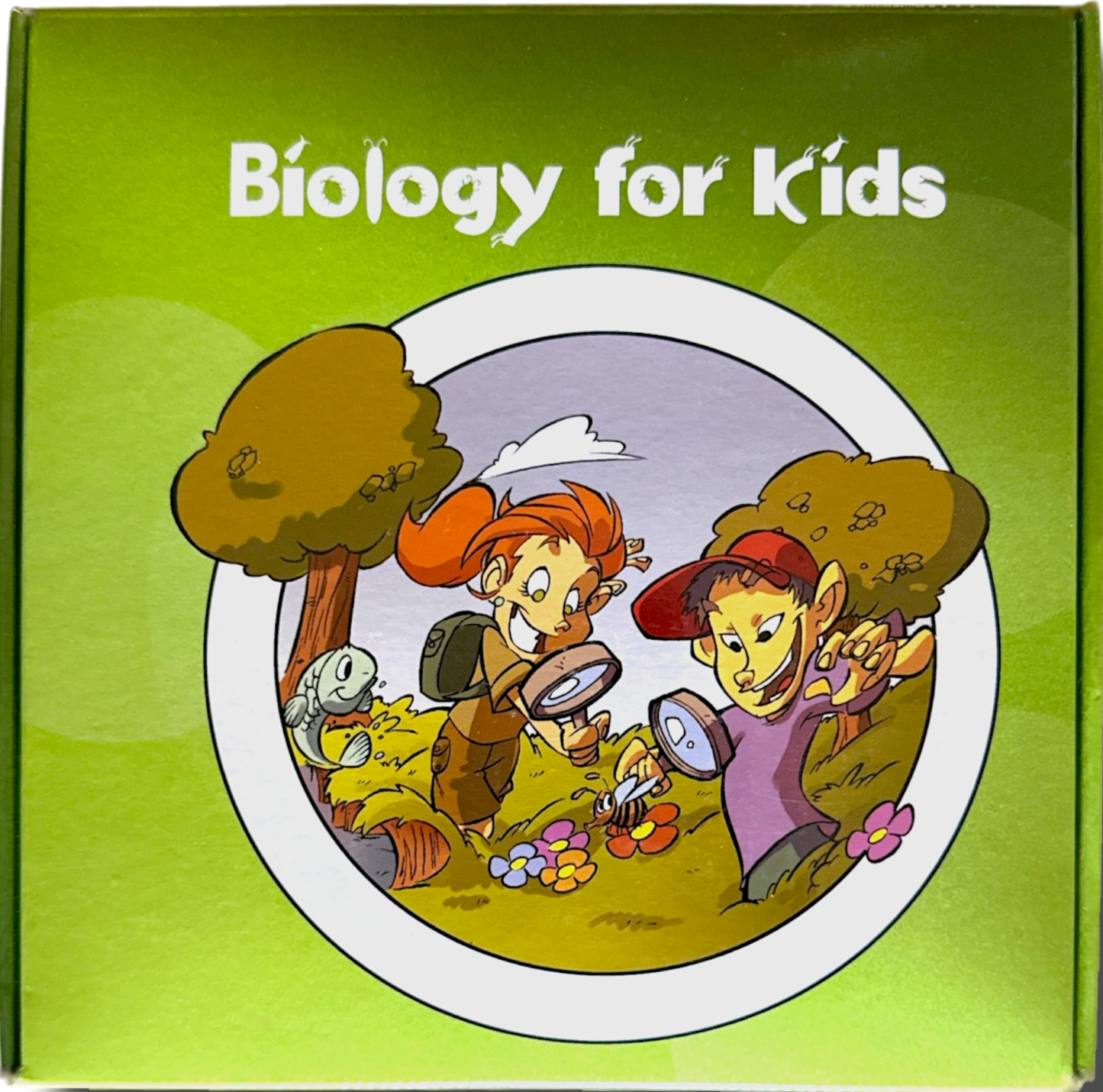 Biology for Kids-Insect 4-Piece Specimen Collection🐉Dragonfly🪳Cockroach🪲Chafer Beetle🦏Rhino Beetle