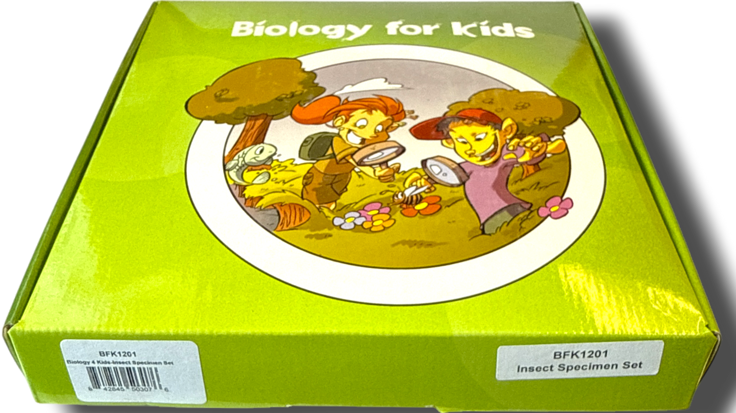 Biology for Kids-Insect 4-Piece Specimen Collection🐉Dragonfly🪳Cockroach🪲Chafer Beetle🦏Rhino Beetle