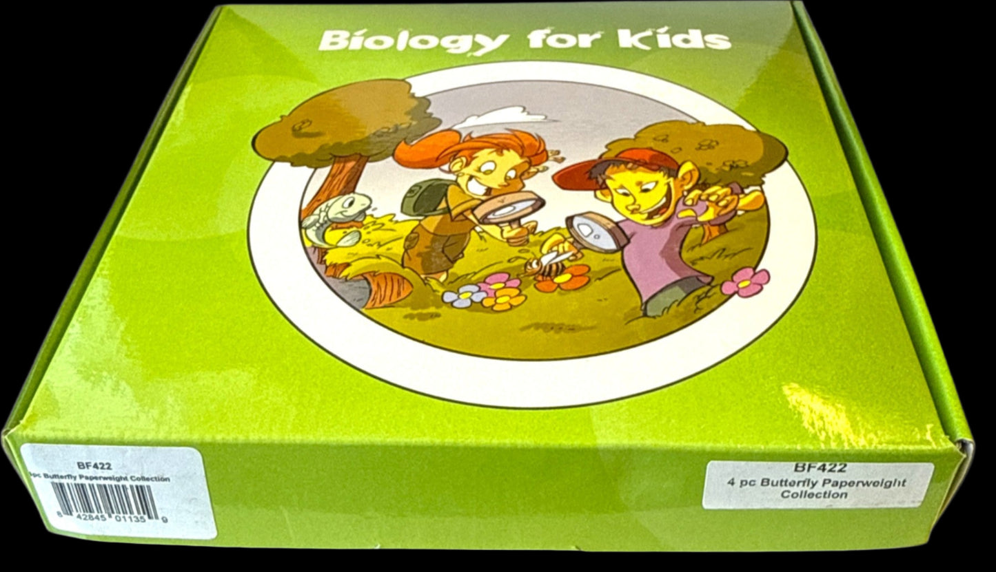 Biology for Kids - Butterfly 4-Piece Specimen Collection Ethically Sourced New & Boxed