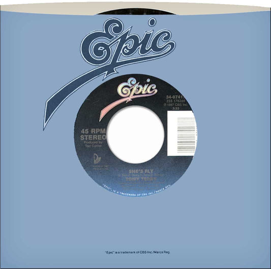 Tony Terry She's Fly / She's Fly [Dub Mix]