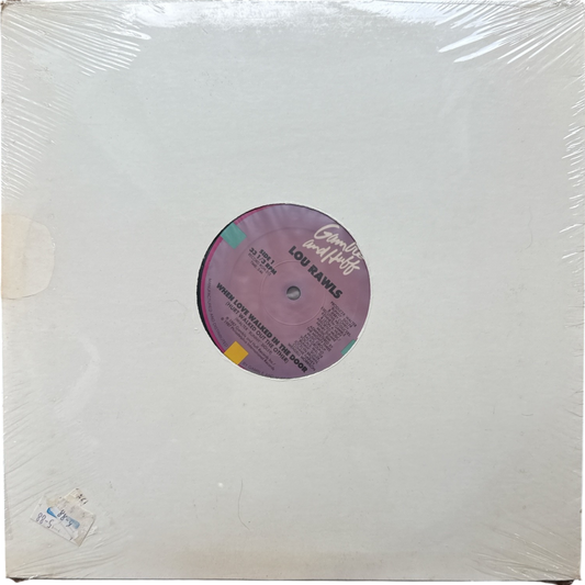 Vinyl record in a clear plastic sleeve with a purple label.