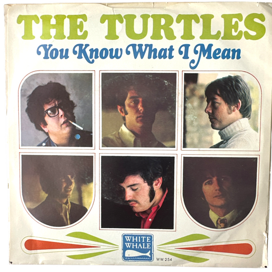 Turtles - You Know What I Mean / Rug Of Wood & Flowers 7" Single In Original Picture Sleeve (NEW)